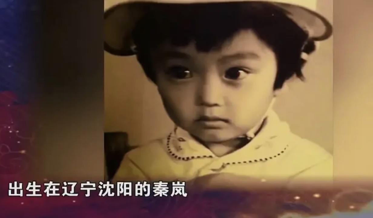 演员秦岚的感情经历,演员秦岚电影作品