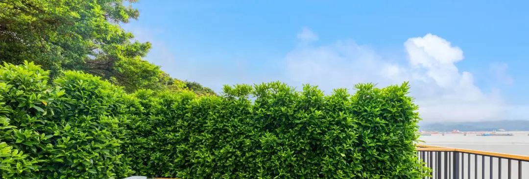 深圳大鹏海景民宿团购,深圳大鹏最美民宿