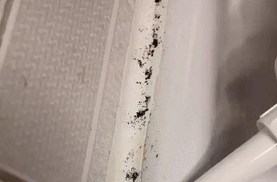 冰箱封条发霉能用除霉剂吗,冰箱封条发霉了用什么小妙招