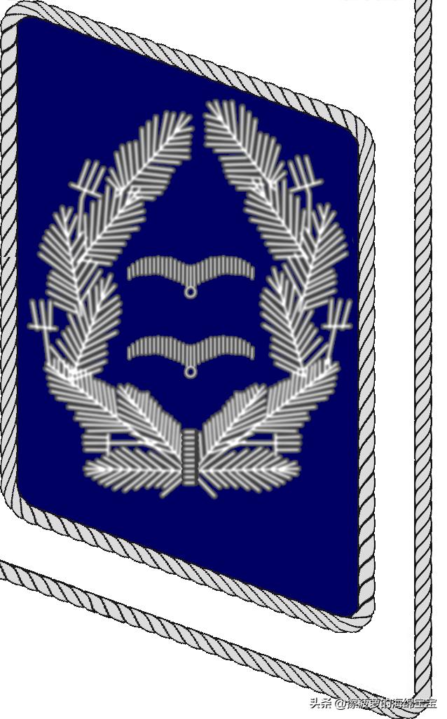 二战德国国防军医疗兵军衔标志