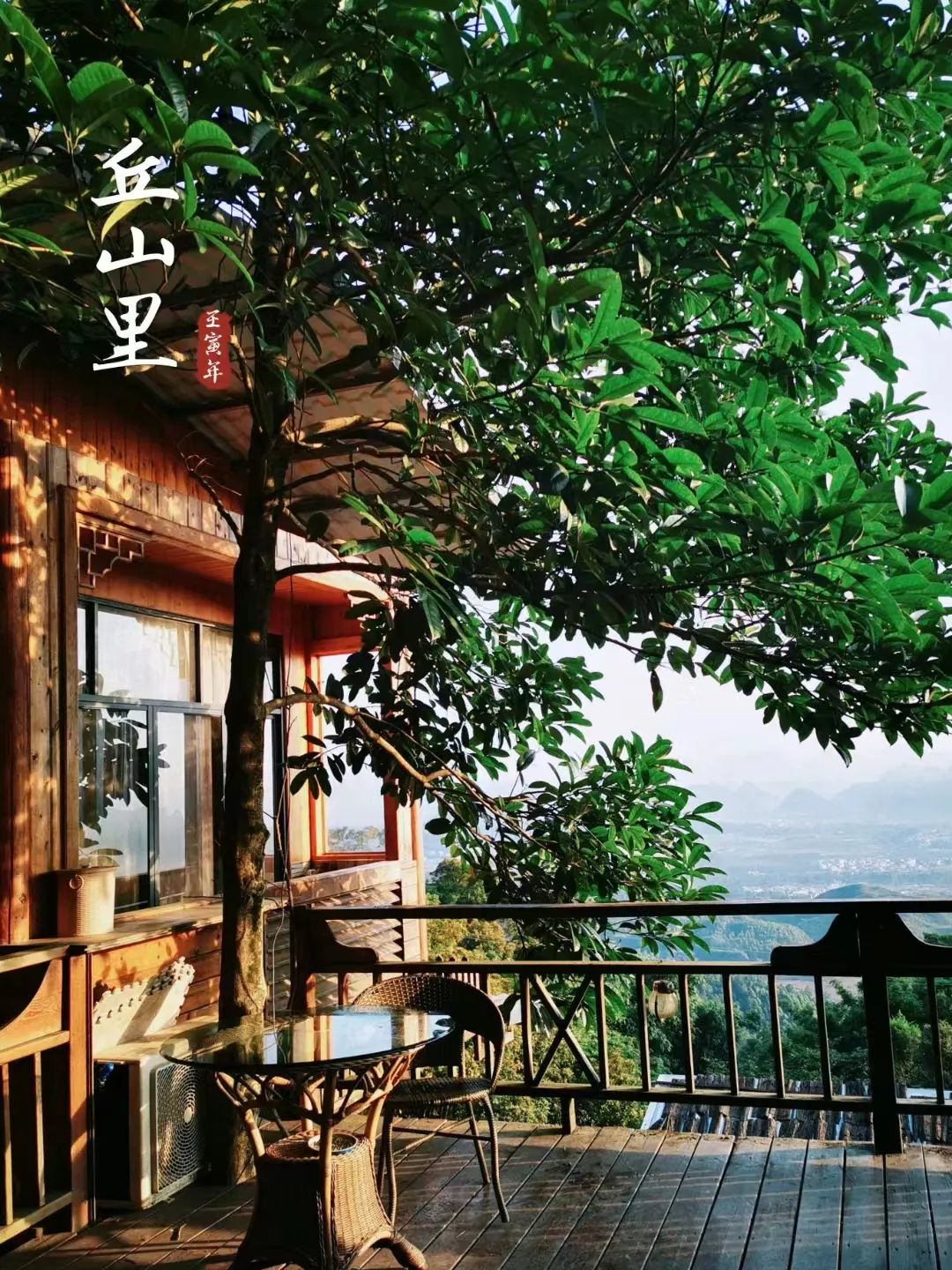 猫咪走太空步原视频最火,猫咪壁虎漫步视频