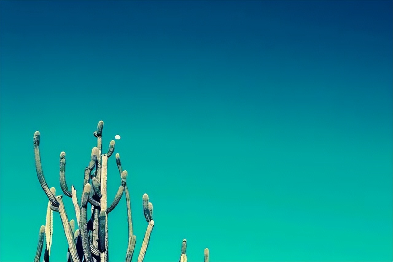 江以宁暮沉第19章,江以宁暮沉小说大结局