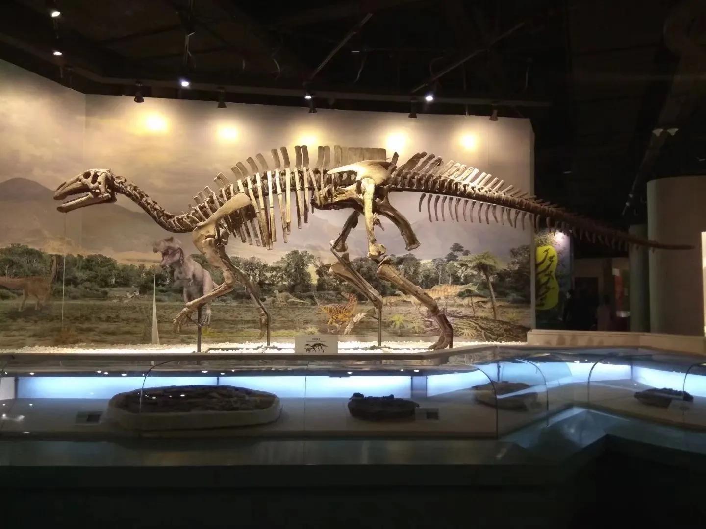 我的母校我的家乡,回母校宣传沈阳师范大学