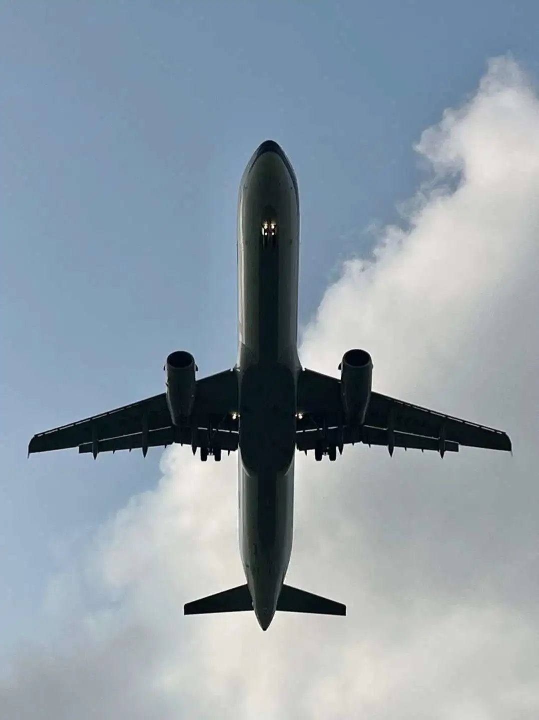 25年最挣钱的行业,25年自行车市场