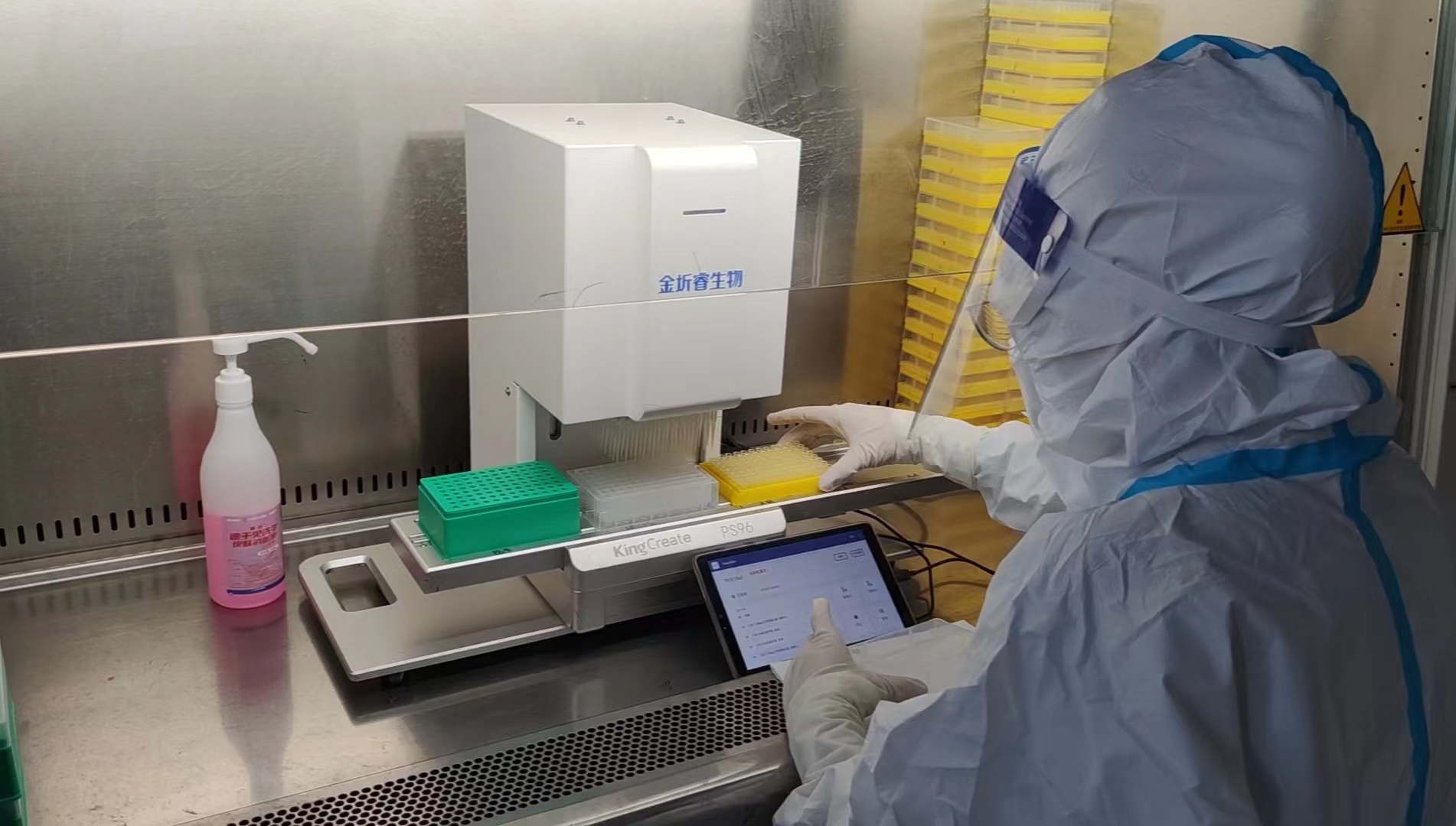 核酸检测共同抗击疫情,核酸检测共战疫情