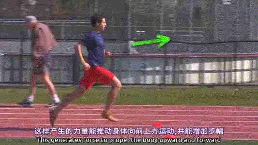 跑步步频需要核心力量吗,跑步是步幅大轻松还是步频快轻松