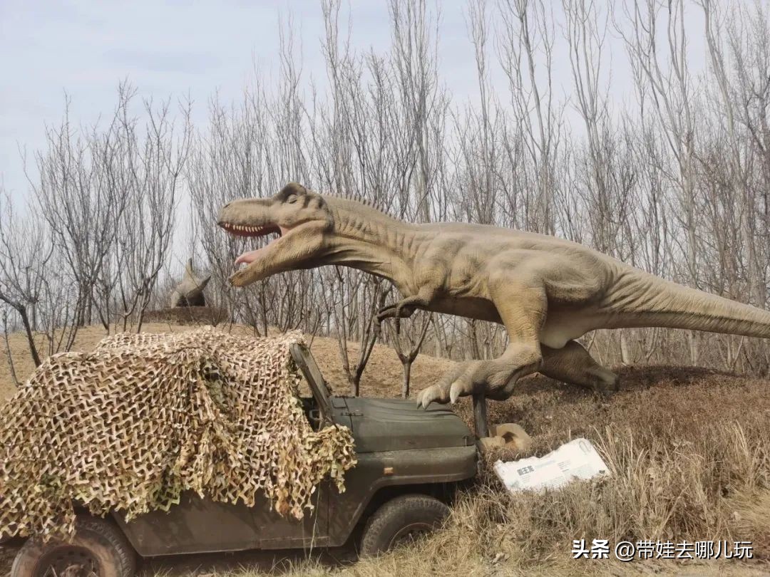 一天玩遍北京野生动物园,包场去鸟巢
