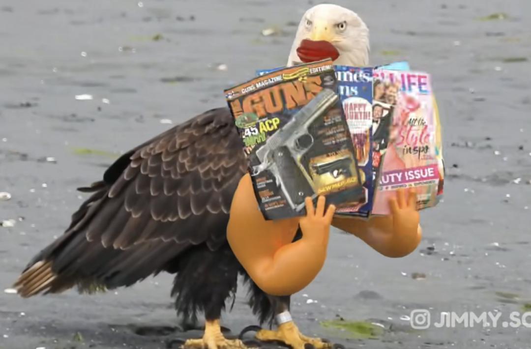 美国人有民族观念吗,美国人的民族情结