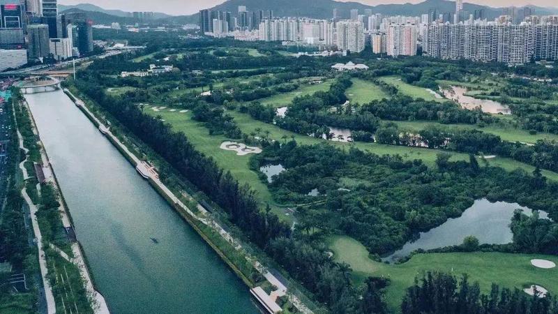 大沙河游泳视频,大沙河玩皮划艇