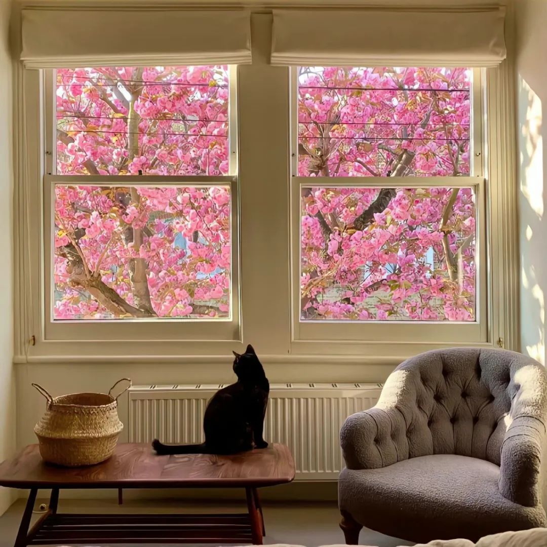 微信朋友圈背景图高级氛围感,朋友圈背景图看置顶