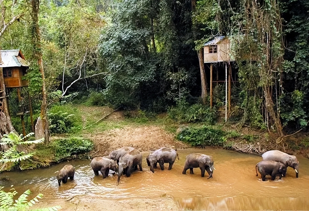 浜戝崡鍐鏃呮父鏅偣鎺ㄨ崘,浜戝崡淇濆北鏃呮父鏅偣澶у叏