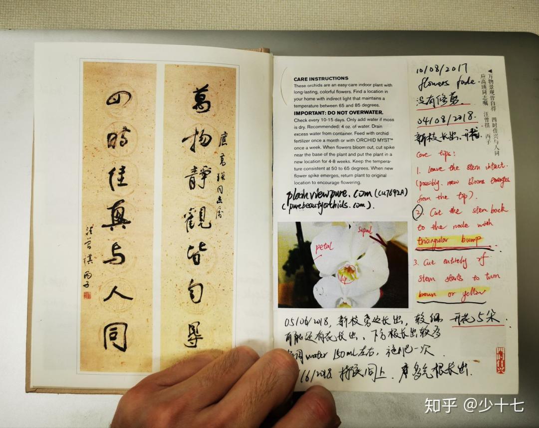 师兄读博士五年发了一篇sci被拒,想读博但没发过论文