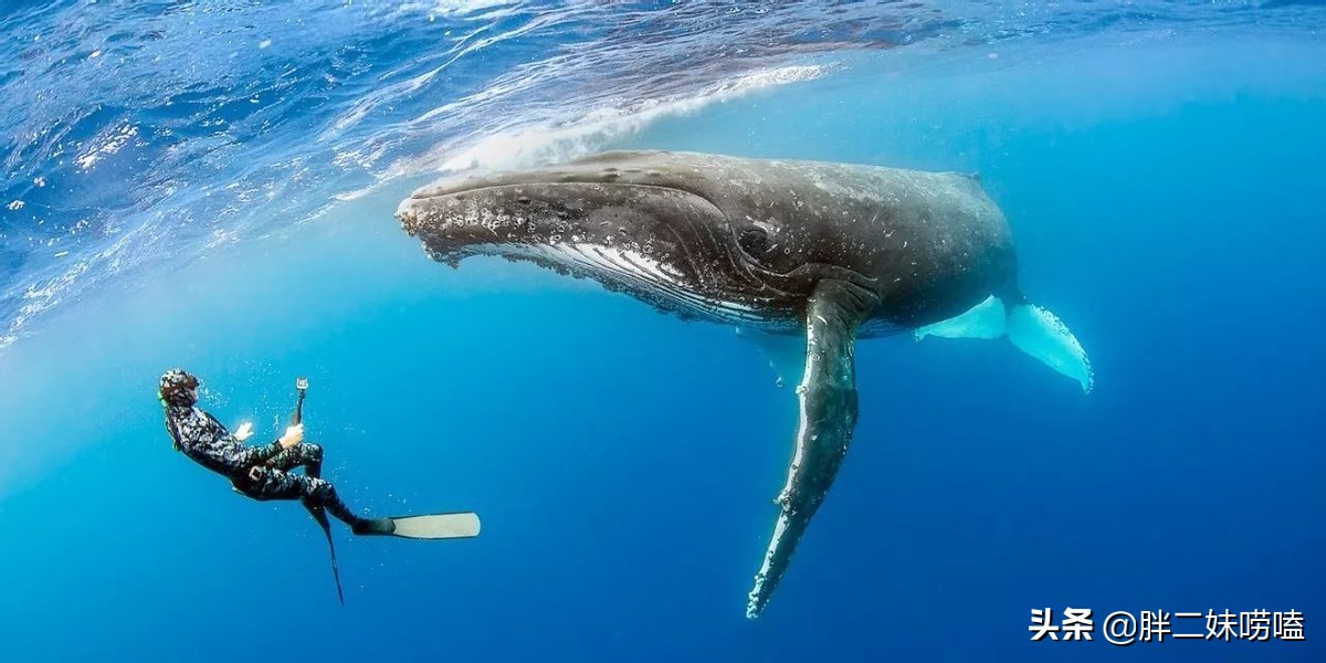 汤加一夫两妻,你不了解的瑜伽