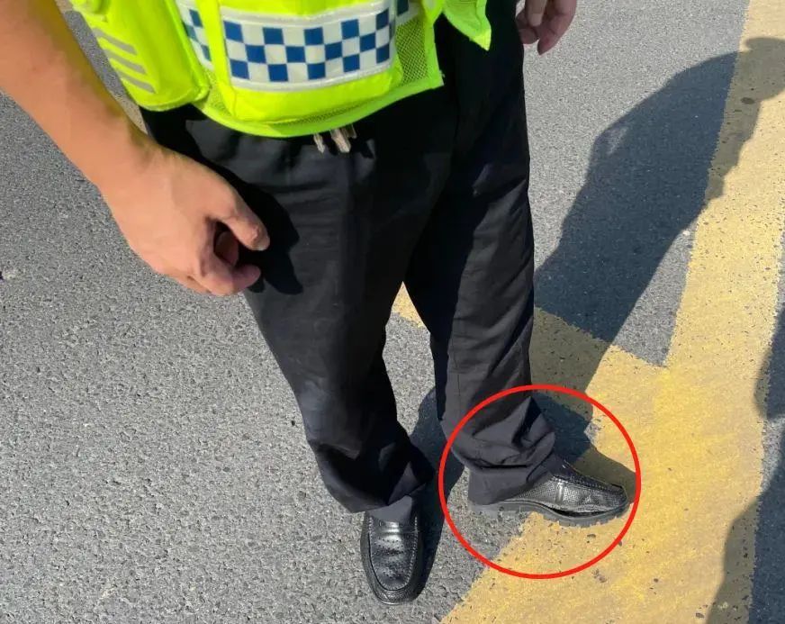 战马,战吗战啊歌曲