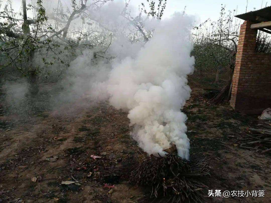 预防作物冻害最好的防冻剂,植物冻害了还能用防冻剂吗