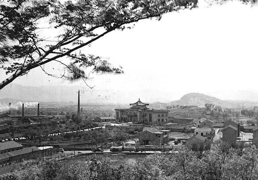 去世7年，留下了宜兴半个多世纪的“光影”