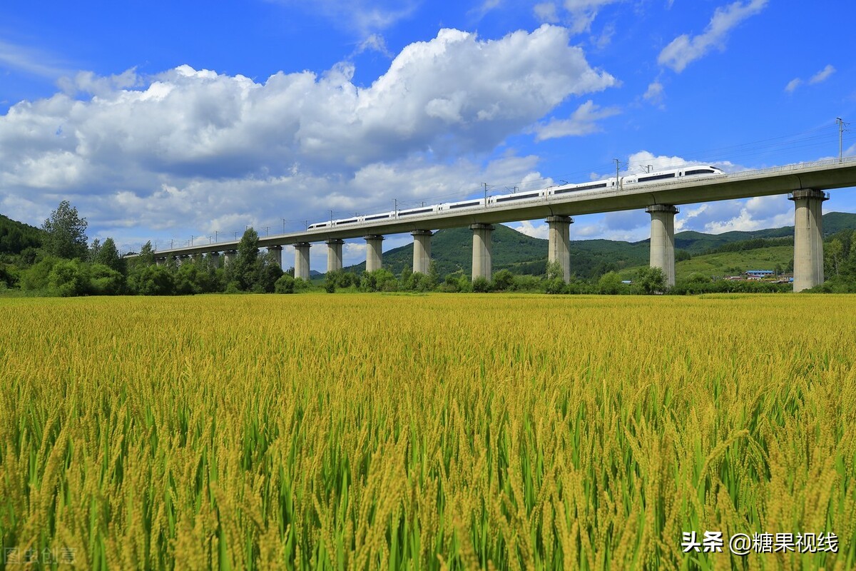 d是动车g是高铁c代表什么,高速动车g和d区别