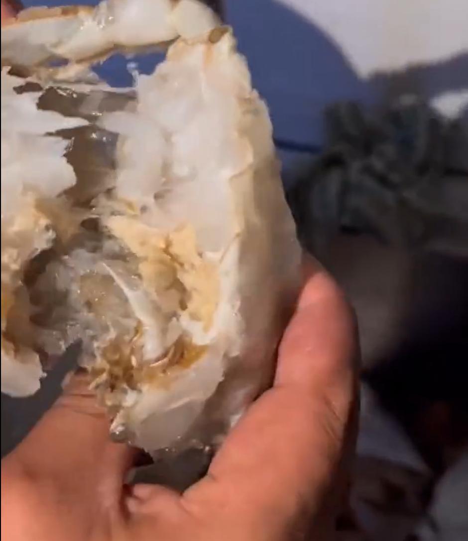 姊瓙锜硅瘓楠楁,楠楀瓙鍗栨瀛愯煿濂楄矾鎶ヨ