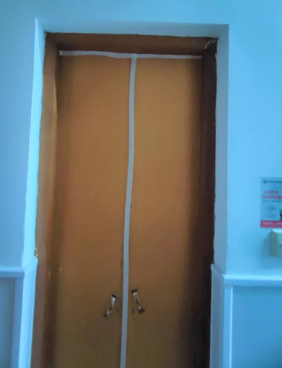 蟑螂科普小知识,捕杀蟑螂最有效的方法