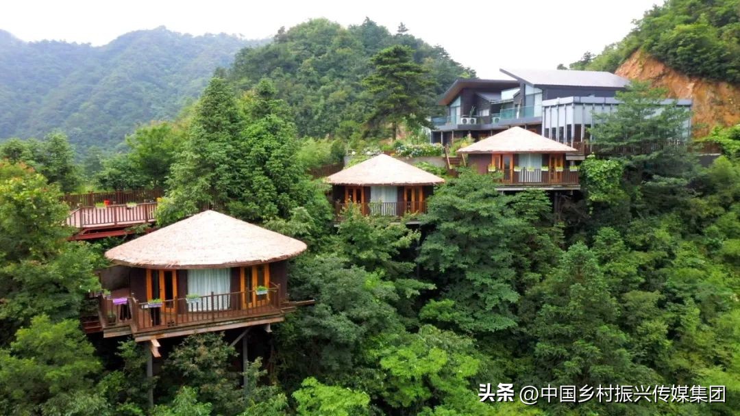 政府扶持乡村振兴的项目有哪些,2024乡村振兴政府补贴重点项目