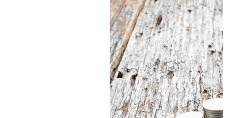 撞见婆婆出轨我该何去何从后续,发现婆婆出轨的正确处理方式