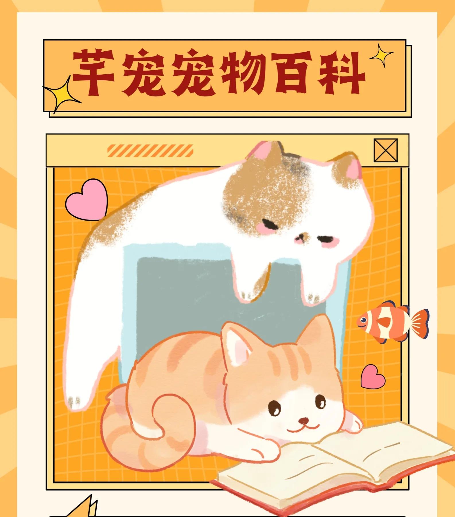 猫胡子冷知识,猫发腮冷知识