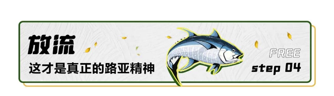 想学钓鱼新手需要买什么,新手学钓鱼最快的方法