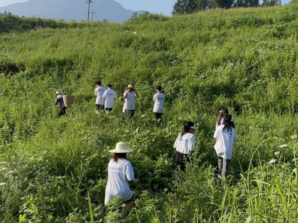 重庆市建筑工程技术学院摄影部,重庆建筑工程职业学院摄影