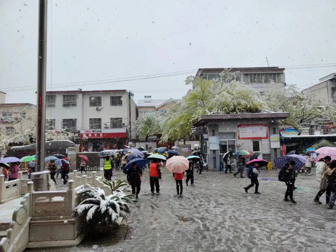 《下春雪啦》《阳台——我的乐园》《足球场——我的乐园》