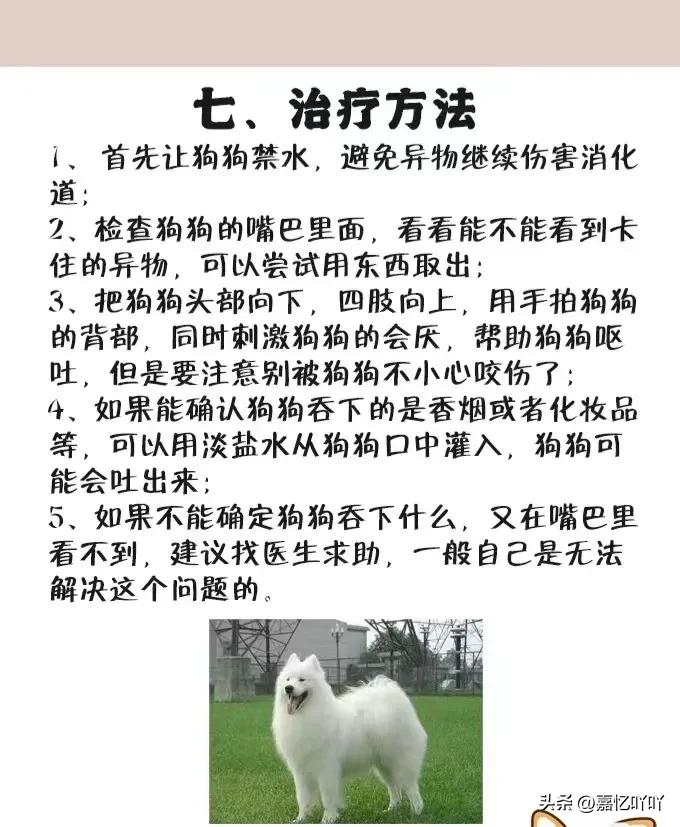 狗狗不小心吞食异物有什么症状,狗狗肠子堵住了怎么排出来异物