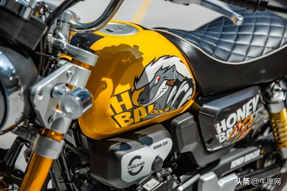 银钢150和蜜獾怎么选,平头哥蜜獾的战斗力有多强