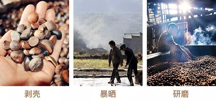 洗头不再用洗发水？用它轻松改善头皮屑，还不掉发！（湘村里）