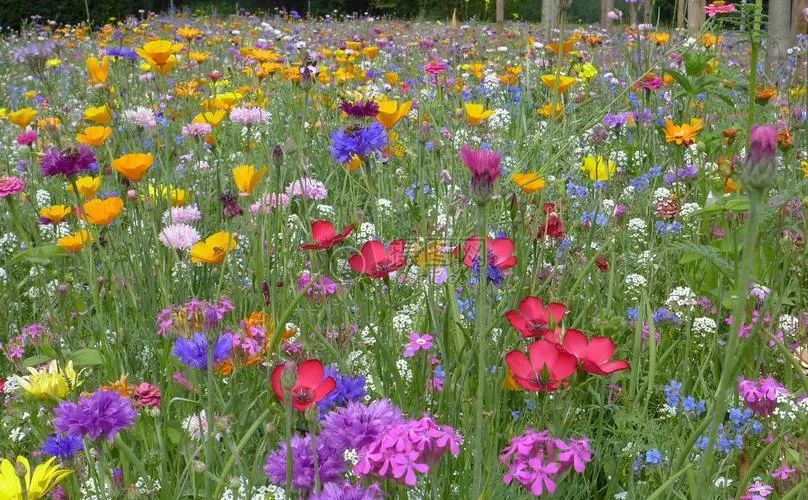 「新生指南丨史上最全宿舍介绍」吉林大学新生快来认领你的宿舍