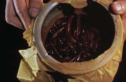 蛊是什么时候存在的,蛊到底是什么