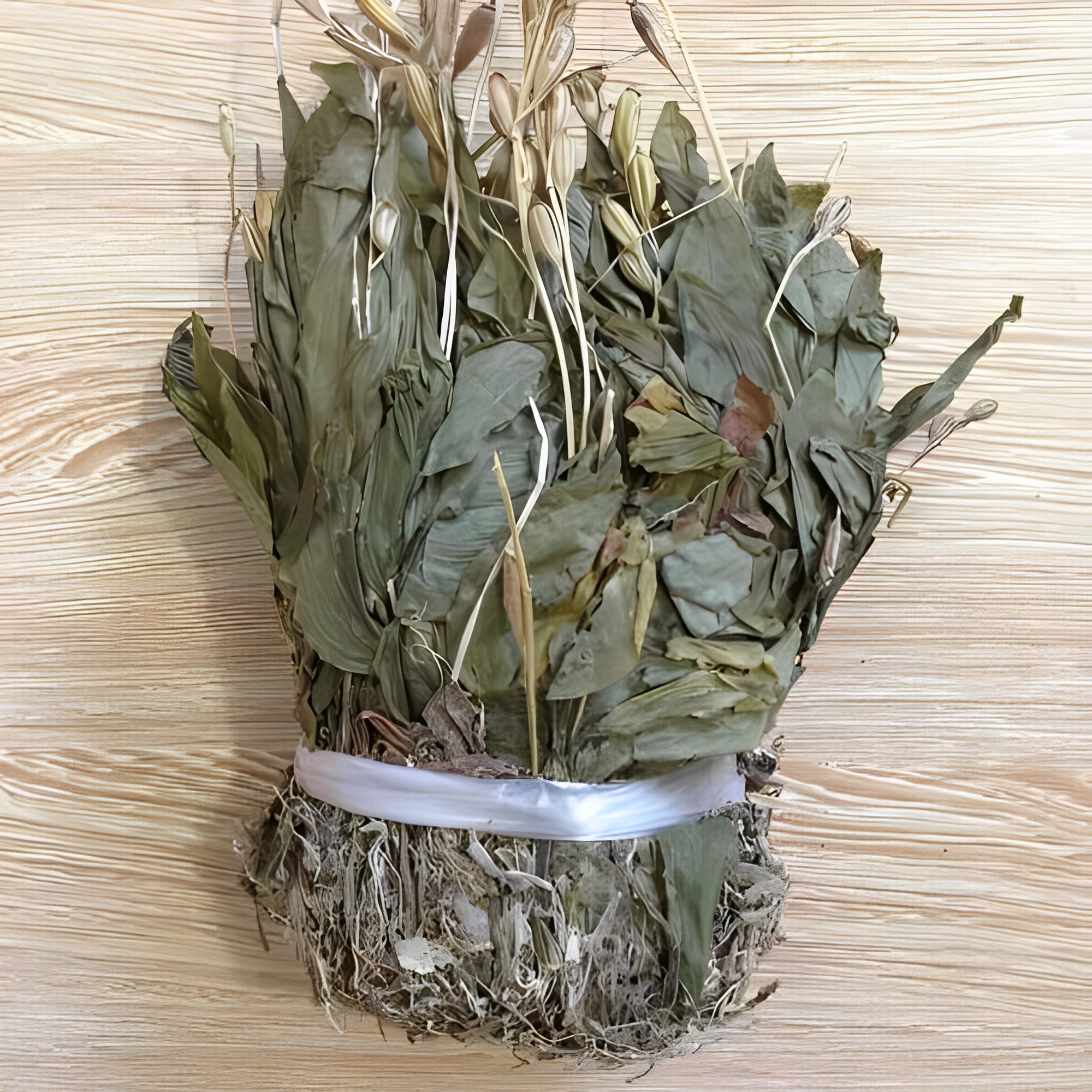 被称为“见血清”，在竹林里被忽视，如今越来越珍贵，见到请重视