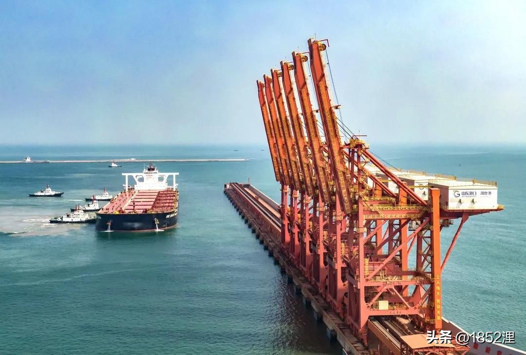 上半身伏下屁股翘高，扒下裤头，一根兽医针咔咔地戳进椎骨里面！