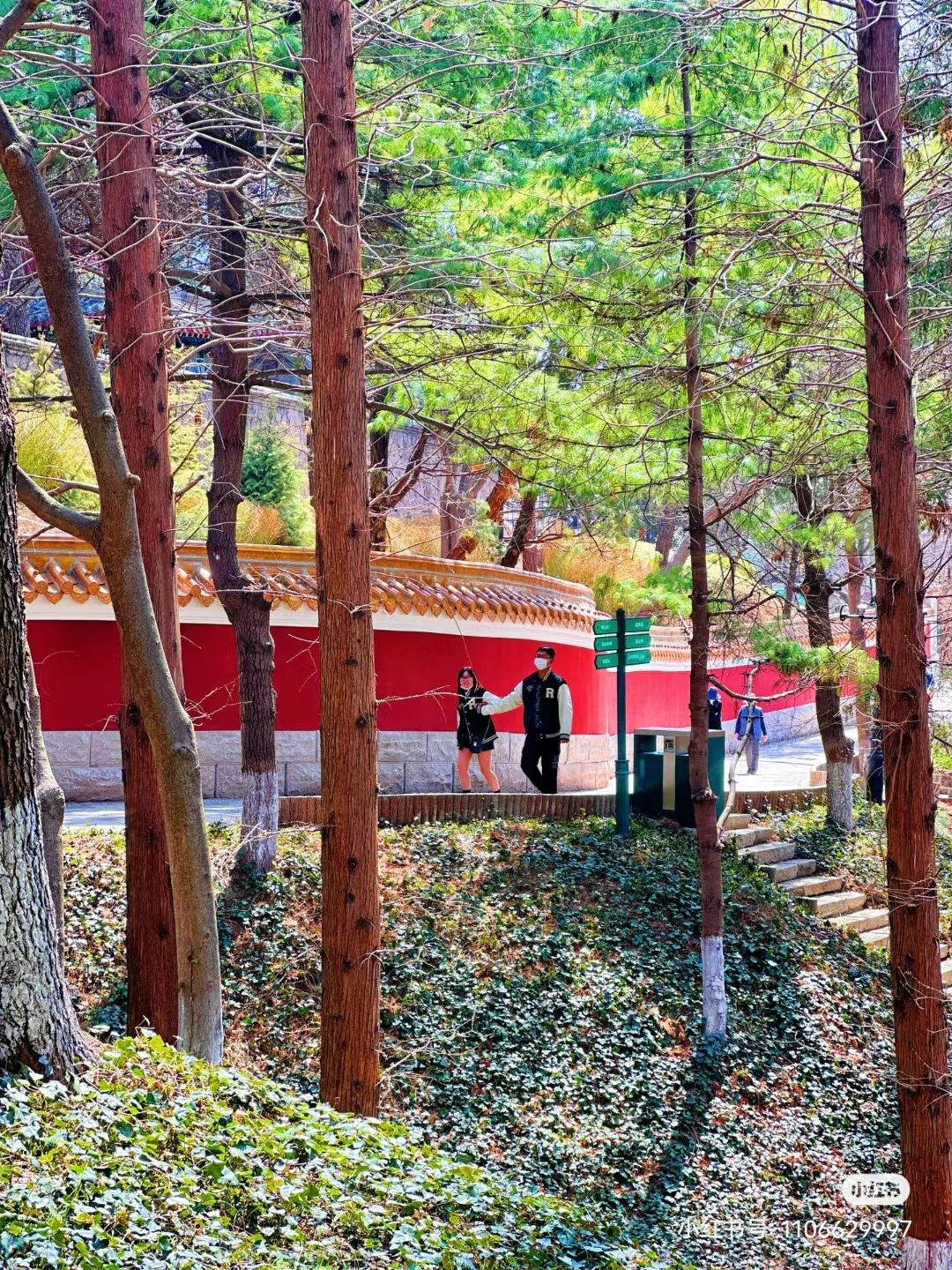 青岛最值得去的拍照打卡地,青岛最适合拍照的十个地方