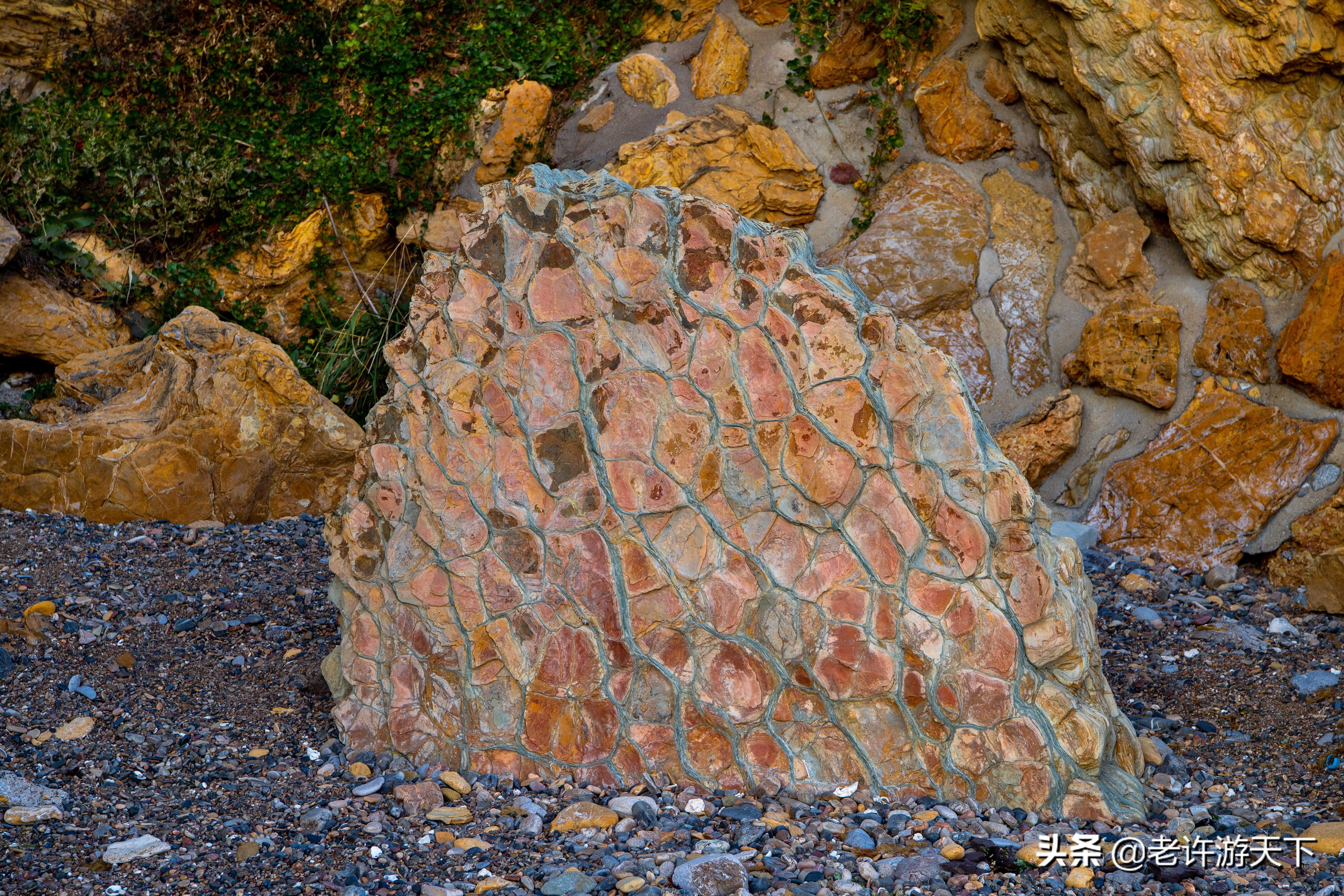 老许游记大全,老许游记第四天完整版