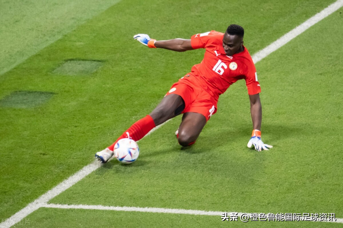 世界杯a组和哪组打,厄瓜多尔美国伊朗比分预测