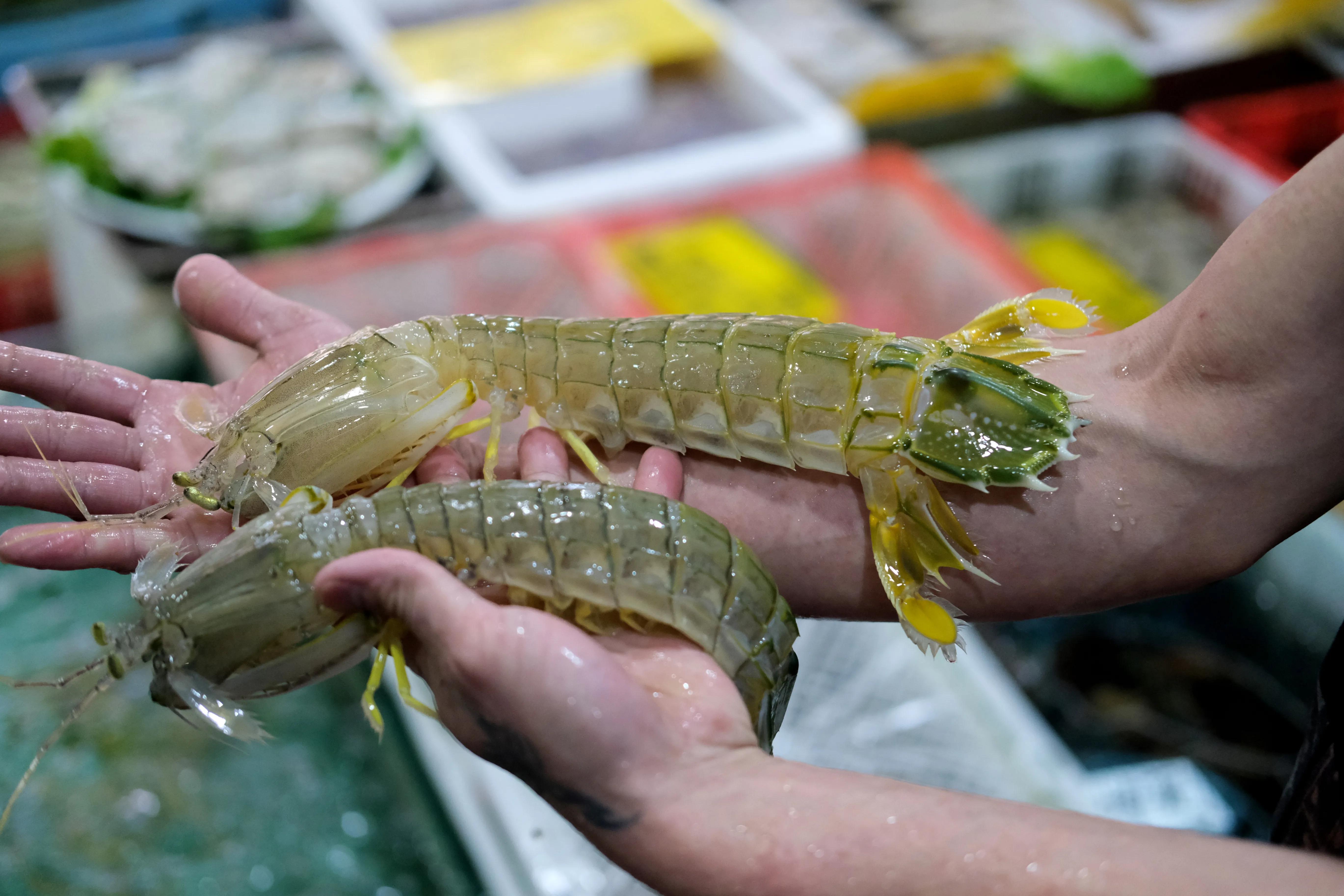 顺德杏坛农庄美食,世界美食之都顺德视频