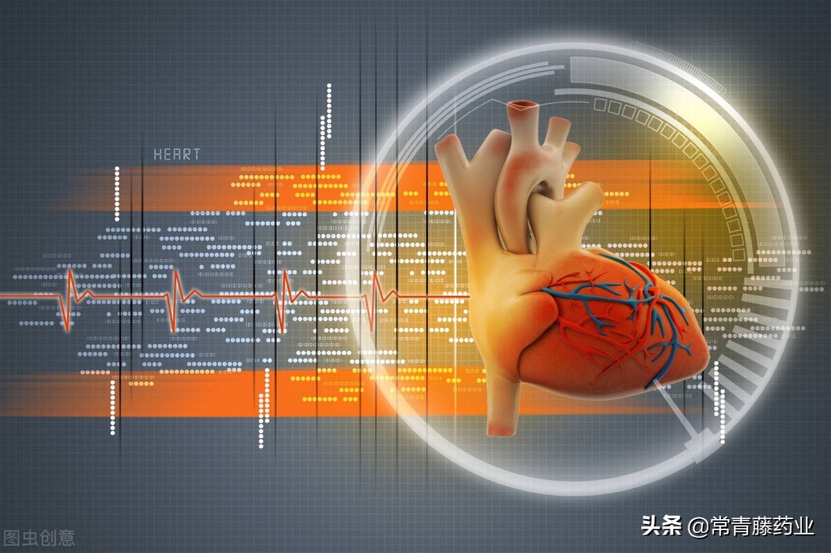 健康知识大全窦性心动过速常识,关注心脏健康科普知识讲座