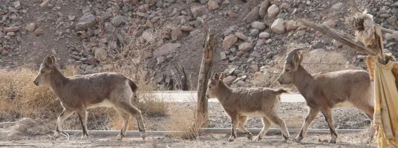钱卫东姜堰,钱卫东