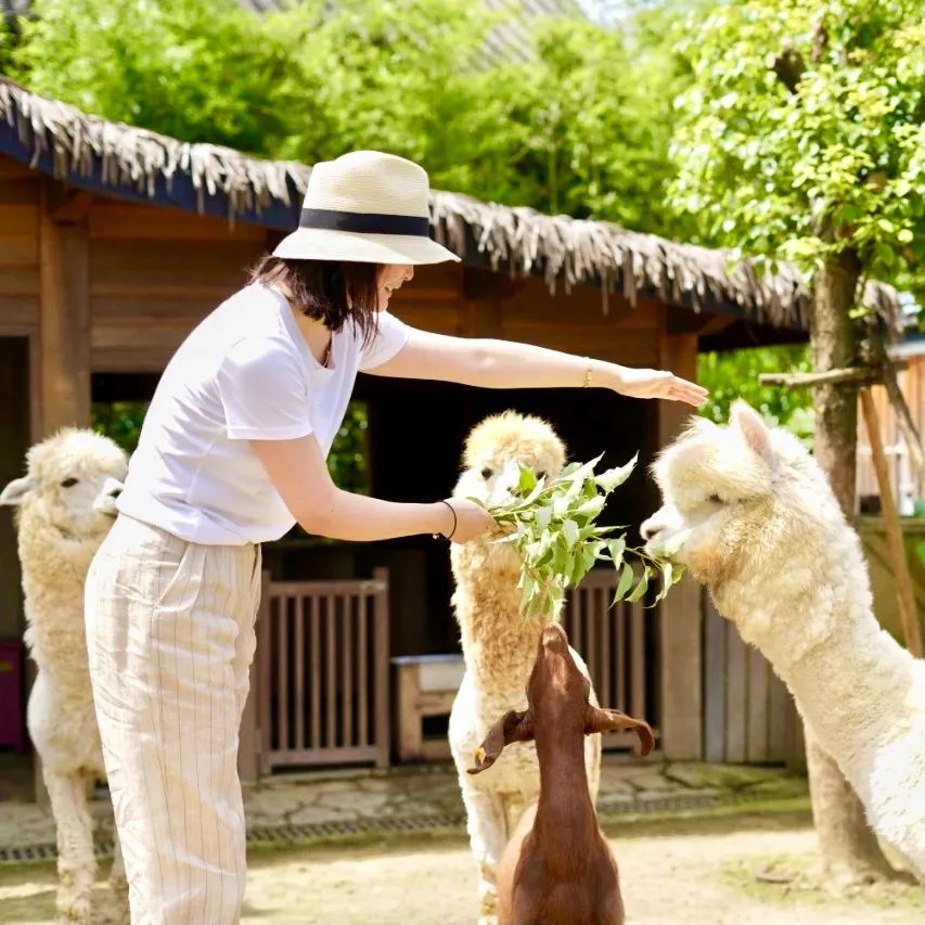莫干山2000多一晚民宿,莫干山幽静民宿优惠