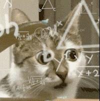 2023年如何挑选笔记本电脑,2023年笔记本性价比排行