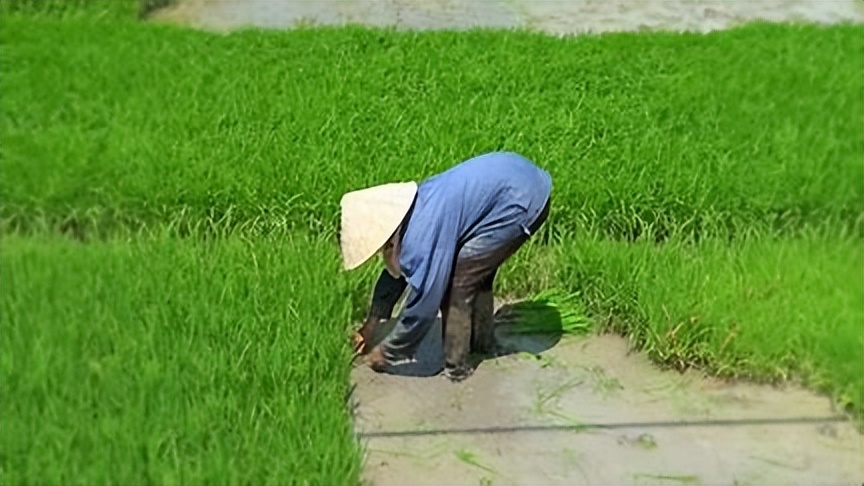 乡村振兴收入变化情况调研,去农村调研农民收入有哪些难点