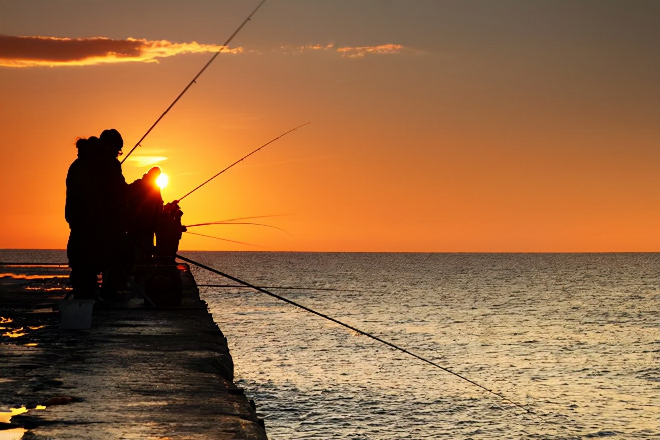 野钓钓鱼短视频初级,短视频钓鱼真相