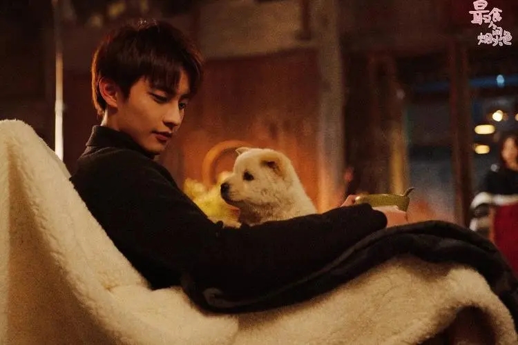 5部先婚后爱的甜宠剧结局,十部先婚后爱并虐心的剧