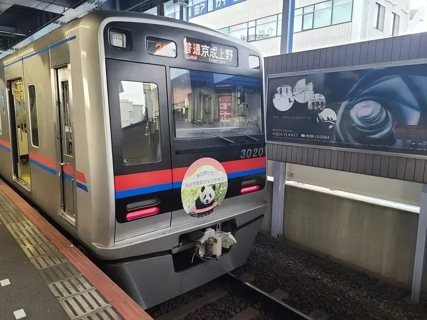 大熊猫香香回国日本民众哭着告别,大熊猫香香回国日本民众哭了