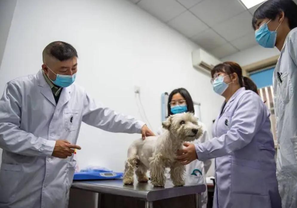 什么专业适合女生就业前景好,适合女生就业前景好的10大专业