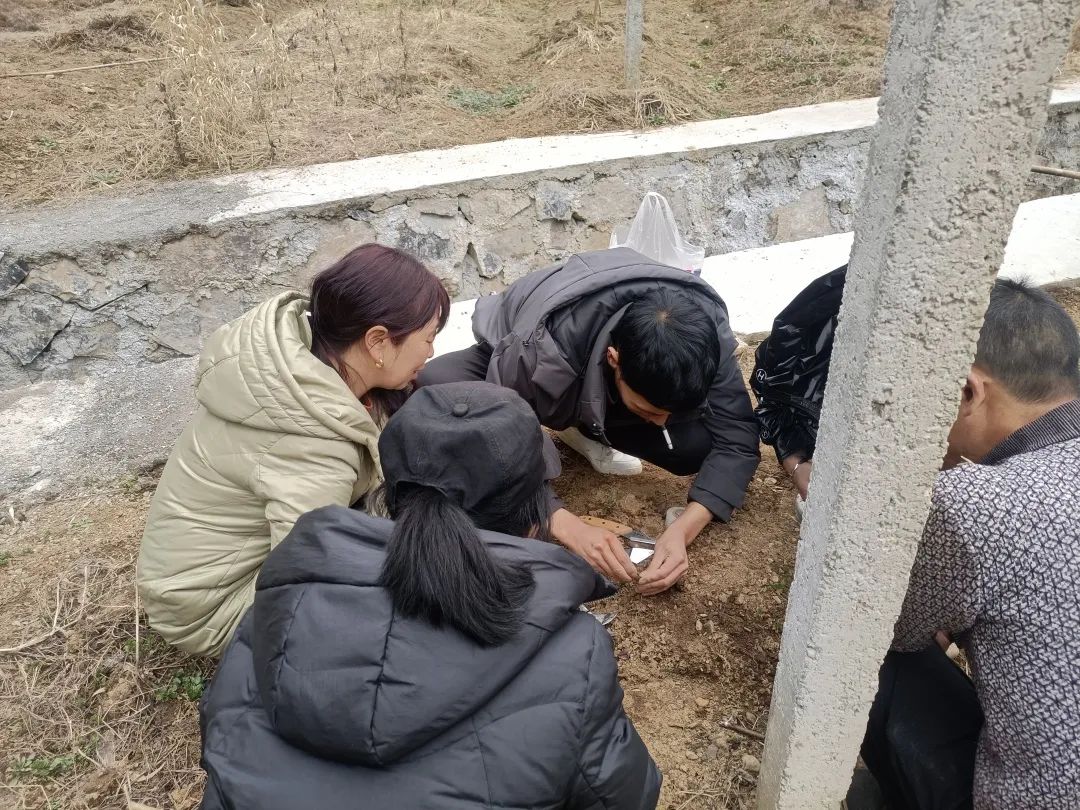 五峰：【乡村振兴】“猕”生情缘，家门口的致富经！